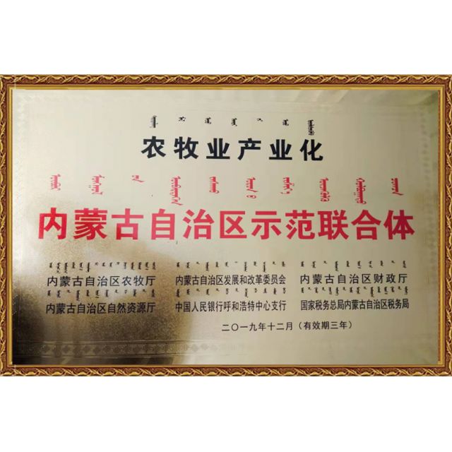 內(nèi)蒙古自治區(qū)示范區(qū)聯(lián)合體