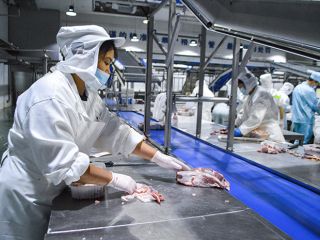 分割篩選