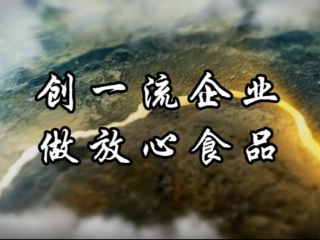 蒙得食品公司宣傳片