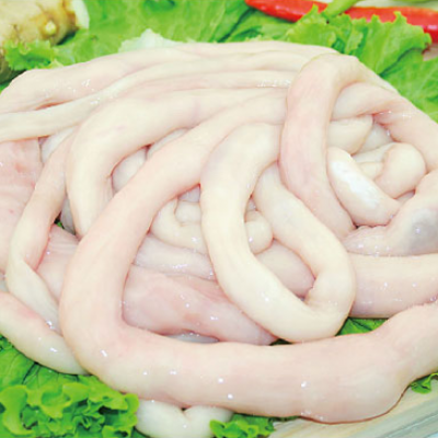 羊肥腸